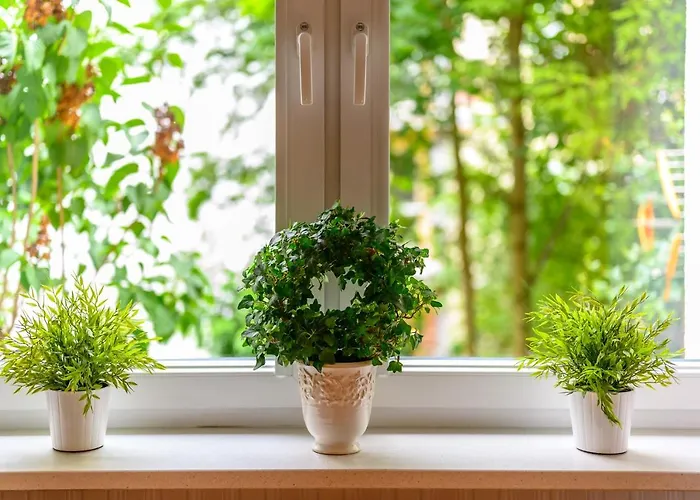 Max Apartament Gdynia